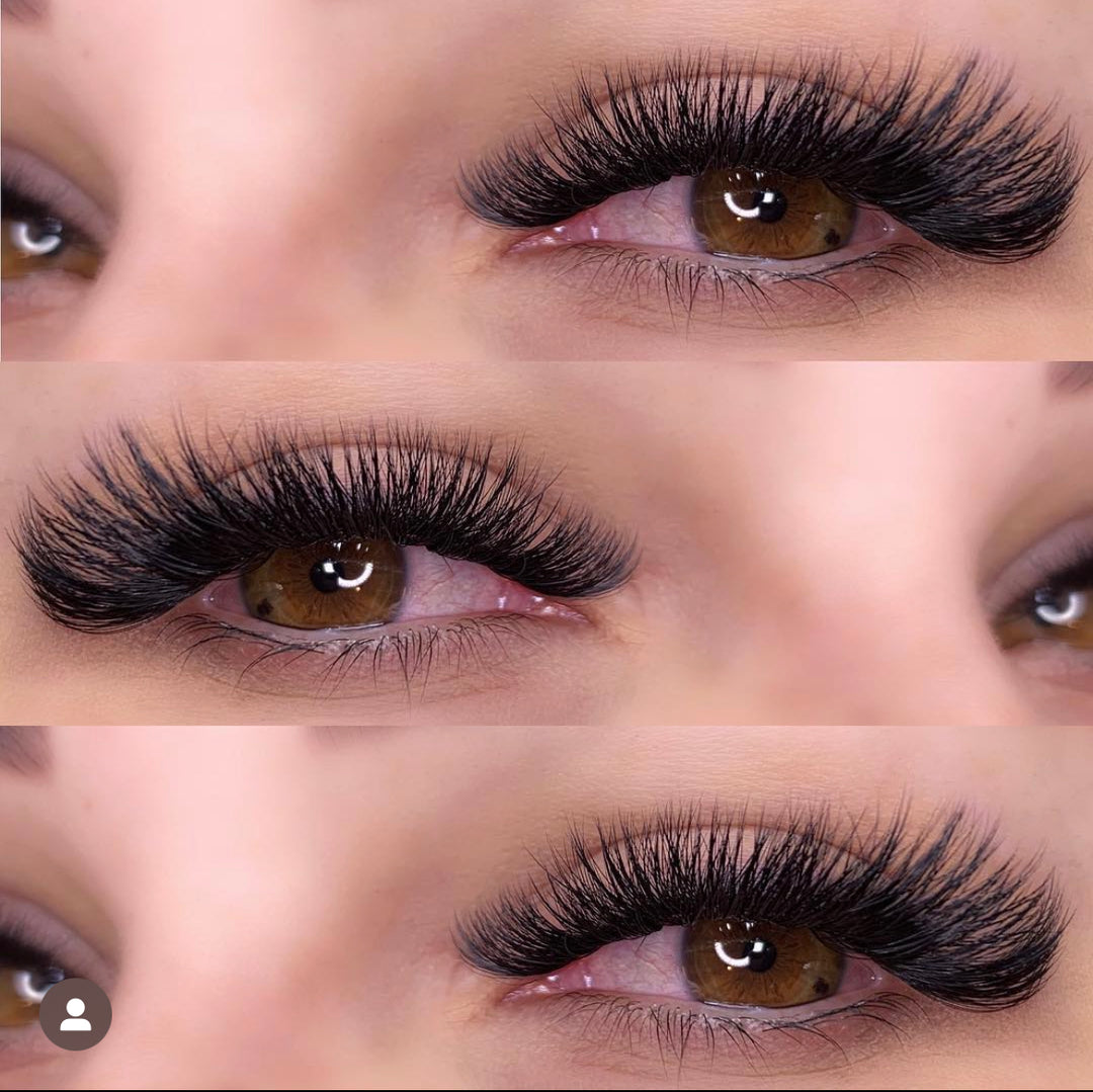 LBK LASHES Lashes .05 / C / 9mm .05 Easy Fan Lash Tray OG Collection