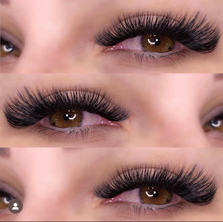 LBK LASHES Lashes .05 / C / 9mm .05 Easy Fan Lash Tray OG Collection