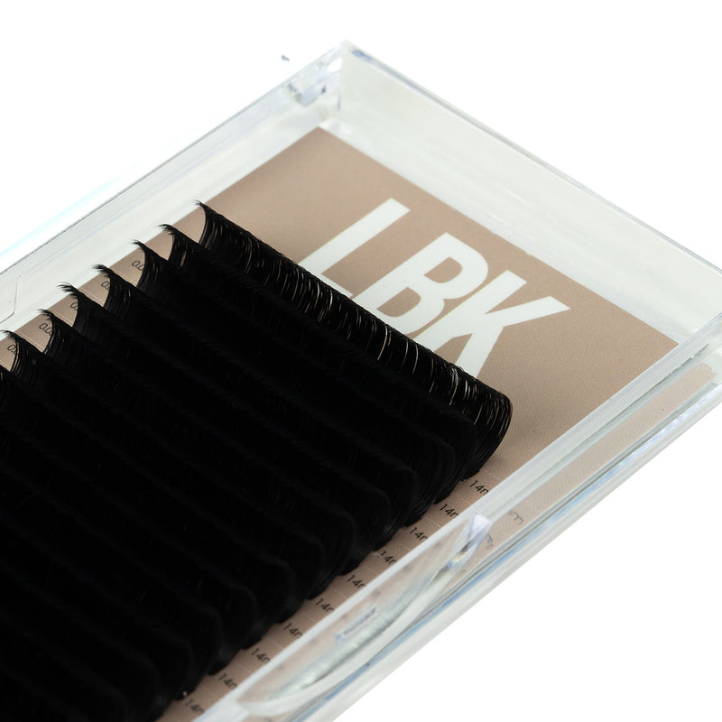 Easy Fan Signature 2.0 Camellia Volume .07 Lashes Shop Lashes By Kins LLC   