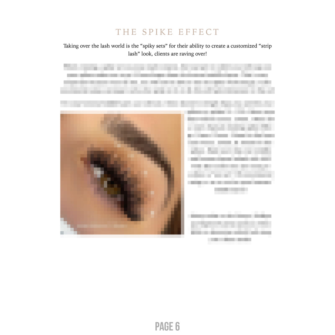 LBK LASHES Lashes By Kins LLC Lash Manual! The Lash Bible: Styling & Mapping E-Book